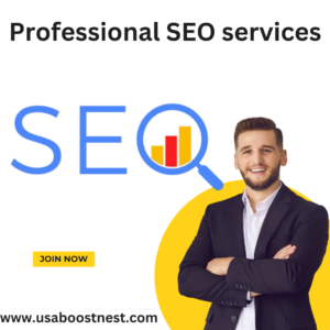 Professional SEO services